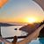 Donna McWhite's profile image