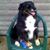 Lynn Jenkins's profile image