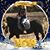 Lisa Damon's profile image