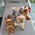 Shirley Geis's profile image