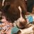 Maria Dworek's profile image