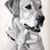 Peggianne Kopet's profile image