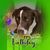 Marsha Jordan's profile image