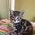 Brenda L. Leake's profile image