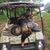Marty Dalton's profile image