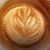 Matt Burkhard's profile image