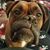 Brian Boggs's profile image