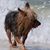 Lynne Richmond Simmons's profile image