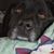 Keith Lori's profile image