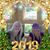 Diane Faye Johnson's profile image