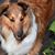 Cathy Thompson's profile image