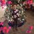 Patricia Brenes's profile image