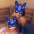 Linda Archie's profile image