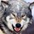 Chuck Clemmons Jr's profile image
