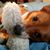 Bob Fortescue's profile image