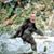 Robert Tracy's profile image