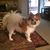 Traci Walker's profile image