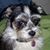 D'Ann Fraser's profile image