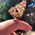 Julie Hughie's profile image