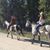 Stephanie Benson Lepinski's profile image