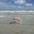 Amber Harvat's profile image