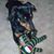 Shirlee State's profile image