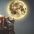 Luis Fher's profile image