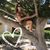 Marita Manzo Aguerrevere's profile image