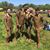 Carol Hafer's profile image