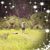 Susan Gillen's profile image