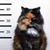 Michael Sinnott's profile image