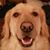 Kim Lucas's profile image