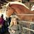 Lynn Lentz's profile image