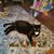 Lena La Barbera Patterson's profile image