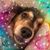 Gary Cushing's profile image