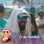Ricardo Jafe Carelli Fontes's profile image