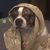 Becky Stephany-Belott's profile image