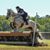 Anna DeWolfe Thomason's profile image