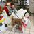 Tammy Huffman-Todd's profile image