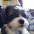 Kathleen Makinen's profile image