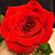 Michele M. McGuire's profile image