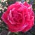 Leanne Marquez's profile image