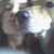 Cheyenne Pepper's profile image
