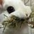 Christina Paul's profile image
