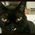 Sandra Price's profile image