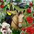 Nita Westphal's profile image