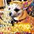 Molly Farmer's profile image