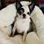 Sara Wincek's profile image
