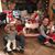 Rhonda Fulcher Gianelloni's profile image