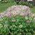 Jeanette Luecke's profile image